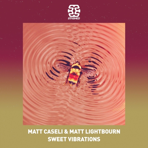 Matt Caseli & Matt Lightbourn - Sweet Vibrations [STASHD170]